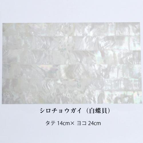 シート.jpg